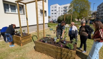 Photo de couverture de Des Racines & Des Liens