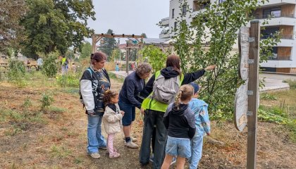 🌱 Une journée au jardin avec les petits jardiniers en herbe ! 🌿 Bonjour à toutes et à tous, le mercr (...)