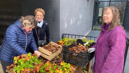 Photos de la publication de Bertrand Kling