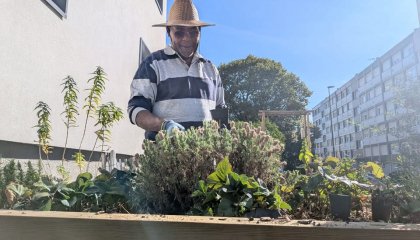 🌱 C’est la rentrée des ateliers jardinage ! 🌿 Bonjour à toutes et à tous, En septembre, nous avons r (...)