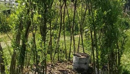 Bonsoir à toutes et tous ! 👋 Un petit tour au CMP de Pont-à-Mousson pour de belles nouvelles de nos (...)