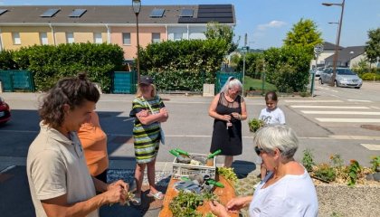 Bonsoir à toutes et tous ! 👋 Fin juin, l'été a bien démarré dans deux de nos résidences OMH avec de (...)