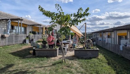 🌱 En septembre, les jardins de l’OMH ont fait leur rentrée ! 🌿 Bonjour à toutes et à tous, tout au l (...)