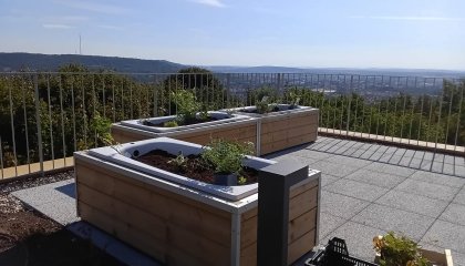 Bonjour à toutes et tous !  Nous vous présentons aujourd'hui l'aménagement végétal sur la terrasse d (...)