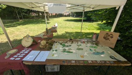 Bonsoir à toutes et tous ! 👋 Quel week-end festif nous avons vécu au festival 