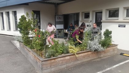 Bonsoir à toutes et tous ! 👋 Belle ambiance et mains vertes au programme lors de notre dernier ate (...)