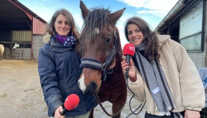 Bonjour à toutes et à tous !  Si vous souhaitez découvrir l' Association Senti'Horse Equicie , le (...)