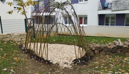 Bonjour à toutes et à tous !!!  Aujourd'hui c'était création d une cabane en saule vivants sur la ré (...)