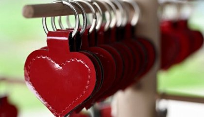 A vos votes les ami.es !!  Pour notre part nous soutenons la merveilleuse association Handi Blue (...)