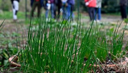 🌿 Et si on commençait le week-end au jardin ?🐝🦋 Ce samedi matin, je vous donne rendez-vous à la Stat (...)