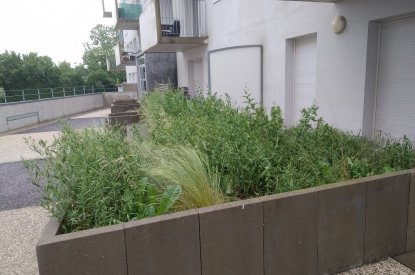 Jardin nourricier à Laneuveville-devant-Nancy