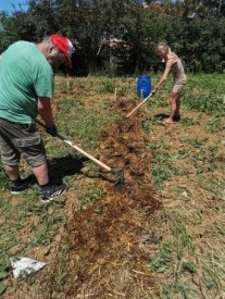 Création d'un jardin collectif sur le quartier d'Haussonville