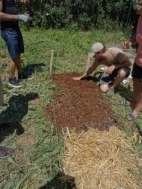 Création d'un jardin collectif sur le quartier d'Haussonville