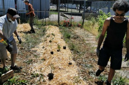 Création d'un jardin collectif sur le quartier d'Haussonville