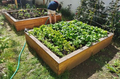 Aménagement de jardin comestible Nancy