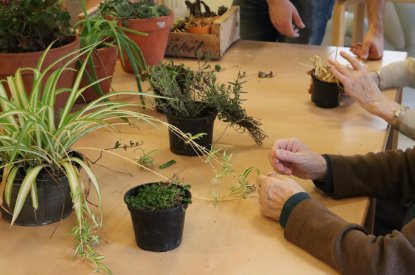 Atelier toucher végétal