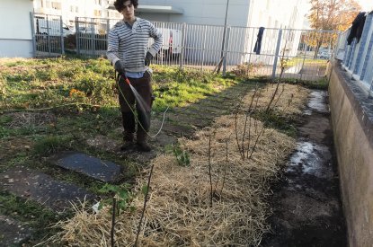 Création d'un jardin collectif sur le quartier d'Haussonville