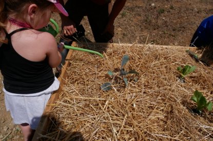 Le jardin participatif de la rue du Crosne