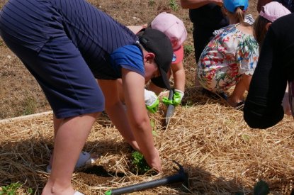 Le jardin participatif de la rue du Crosne