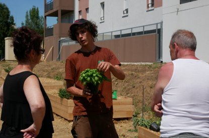 Le jardin participatif de la rue du Crosne