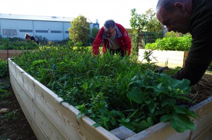 Atelier participatif du jardin nourricier de la rue du Crosne