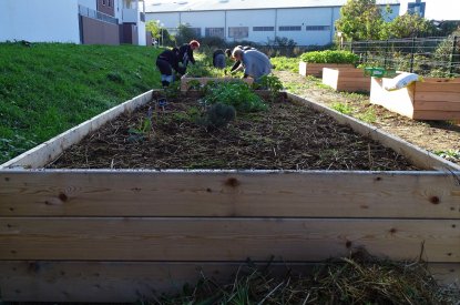 Atelier participatif du jardin nourricier de la rue du Crosne