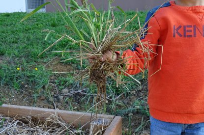 Atelier participatif du jardin nourricier de la rue du Crosne