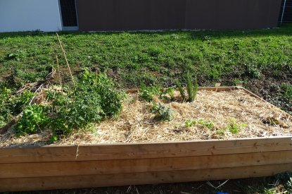 Atelier participatif du jardin nourricier de la rue du Crosne