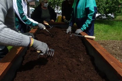 Atelier de remplissage, semis et plantations des bacs surélevés.