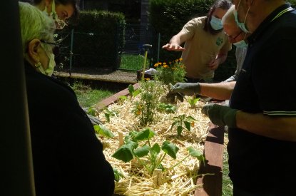 Atelier de remplissage, semis et plantations des bacs surélevés.