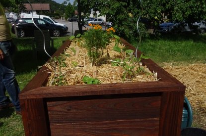 Atelier de remplissage, semis et plantations des bacs surélevés.