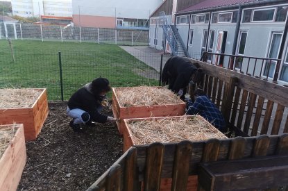 Aménagement d'un jardin pédagogique