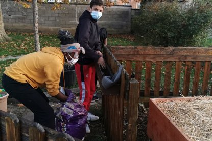 Aménagement d'un jardin pédagogique