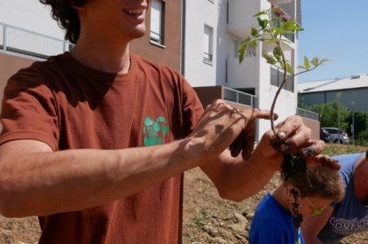 Le jardin participatif de la rue du Crosne