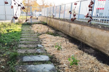 Création d'un jardin collectif sur le quartier d'Haussonville