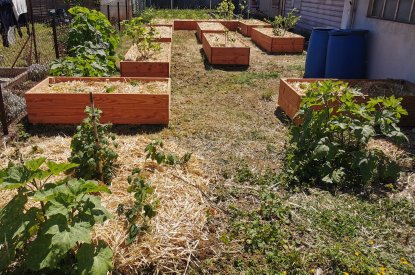 Le jardin nourricier de Jarny