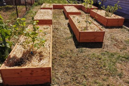 Le jardin nourricier de Jarny