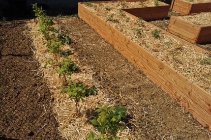 Le jardin nourricier de Jarny