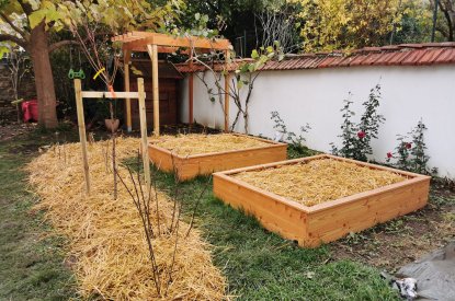 Aménagement de jardin comestible Nancy