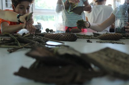 Atelier sur les petites bêtes ; Association Familles Rurales de Seichamps