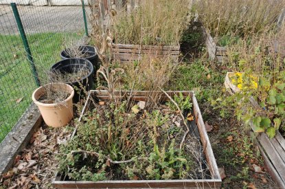 Aménagement d'un jardin pédagogique