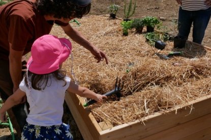 Le jardin participatif de la rue du Crosne