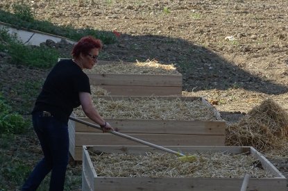 Le jardin participatif de la rue du Crosne