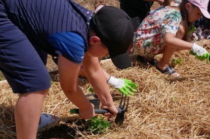 Le jardin participatif de la rue du Crosne