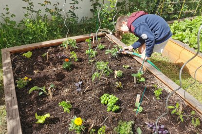 Aménagement de jardin comestible Nancy