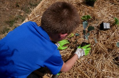 Le jardin participatif de la rue du Crosne