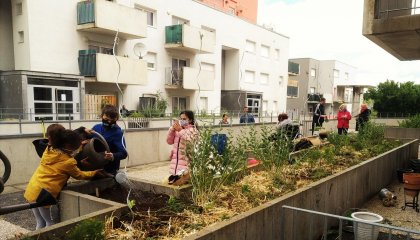 Jardin nourricier à Laneuveville-devant-Nancy