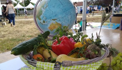 Fête de quartier d'Haussonville