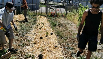 Création d'un jardin collectif sur le quartier d'Haussonville