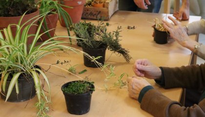 Atelier toucher végétal